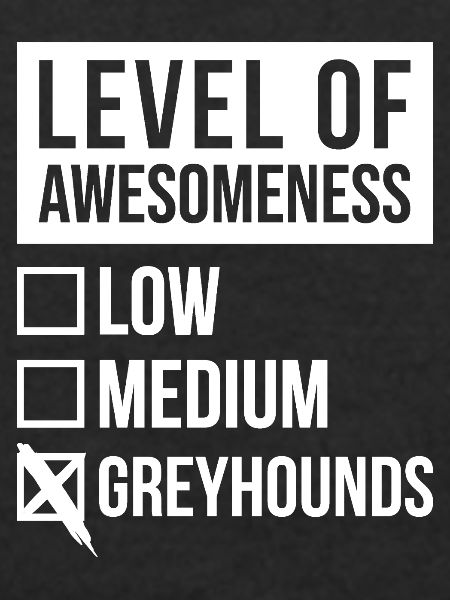 Greyhound Greyhound Greyhound