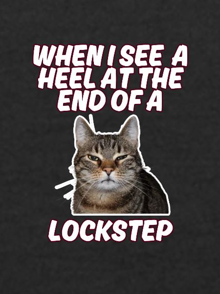 Lockstep cat