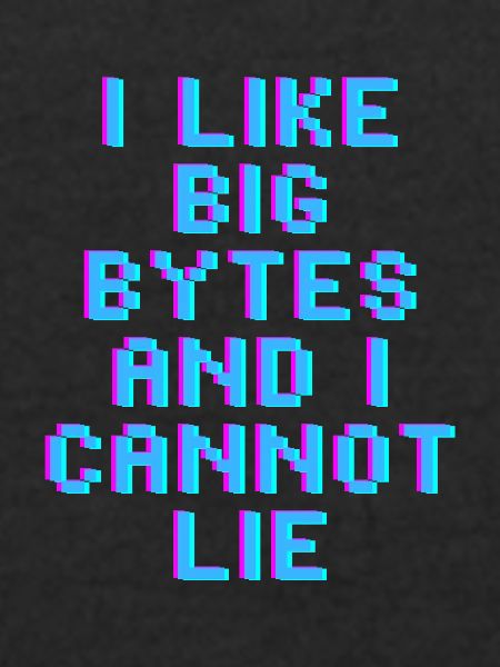 I like big bytes