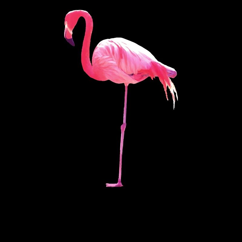 Pink Flamingo