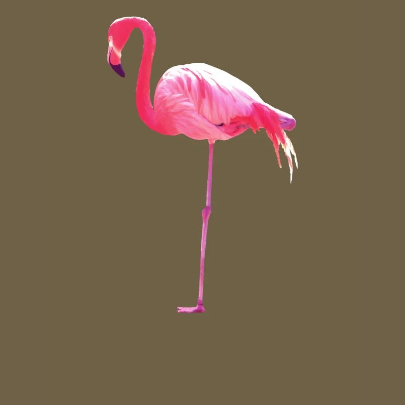 Pink Flamingo