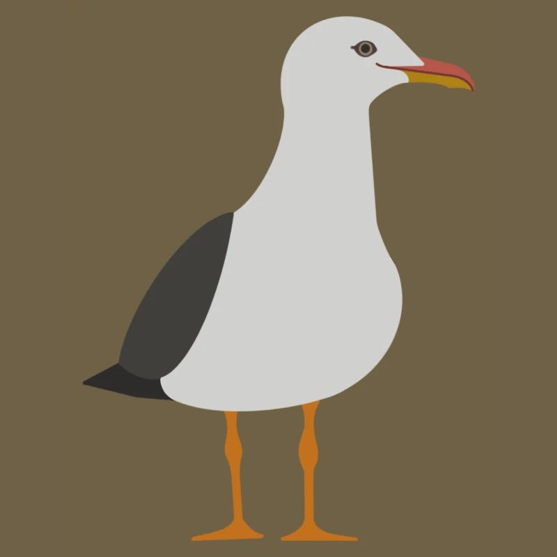 Möwe