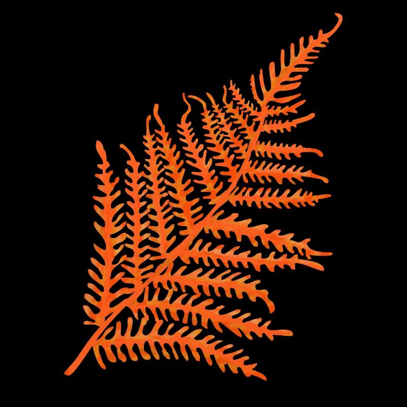 Fougère à l’orange