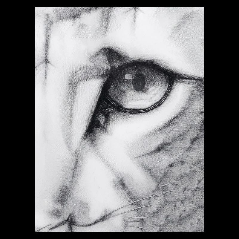 Katzenartig