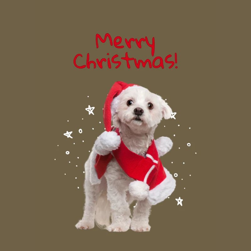 Doux Noël