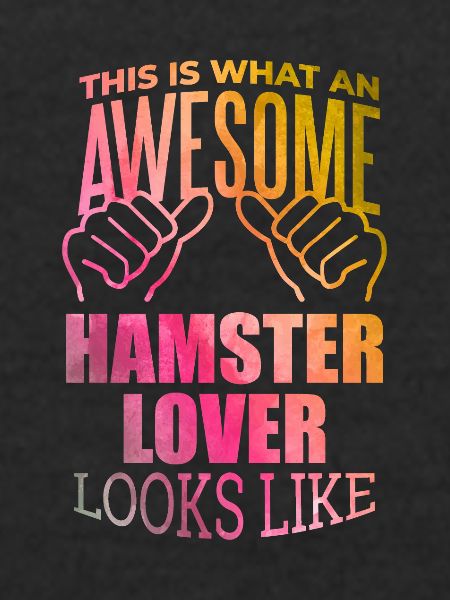 Hamster Hamster Hamster