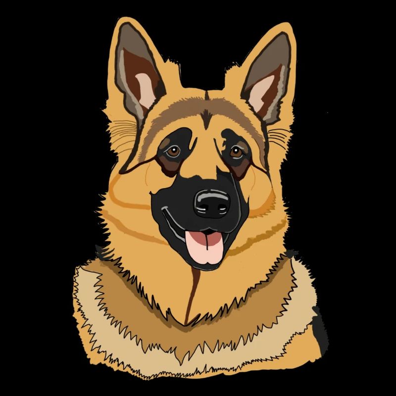 Hund Deutscher Schäferhund