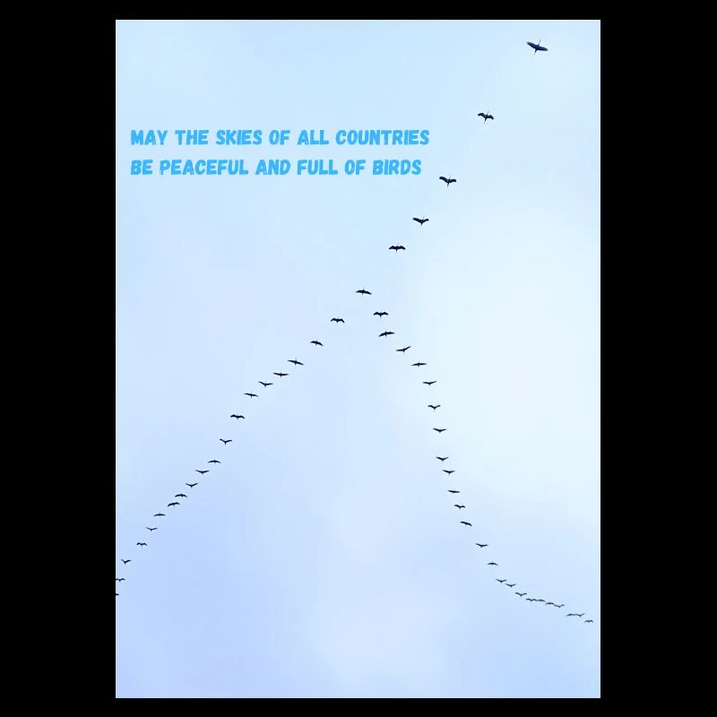 Vögel am Himmel