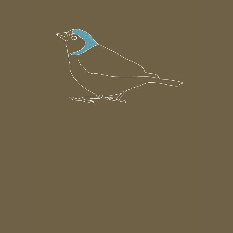chaffinch