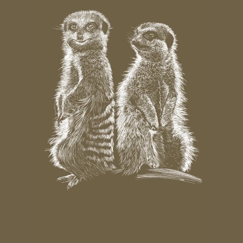 Erdmännchen