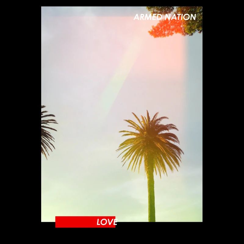 Pastel palm trees in the sun sky