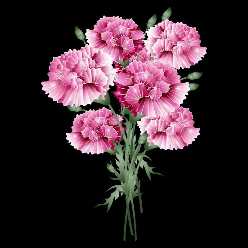 fascinant bouquet rose d’œillets