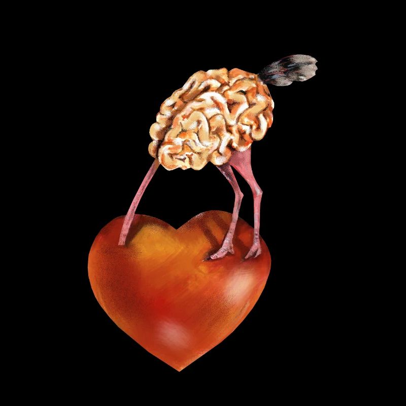 Brain and heart