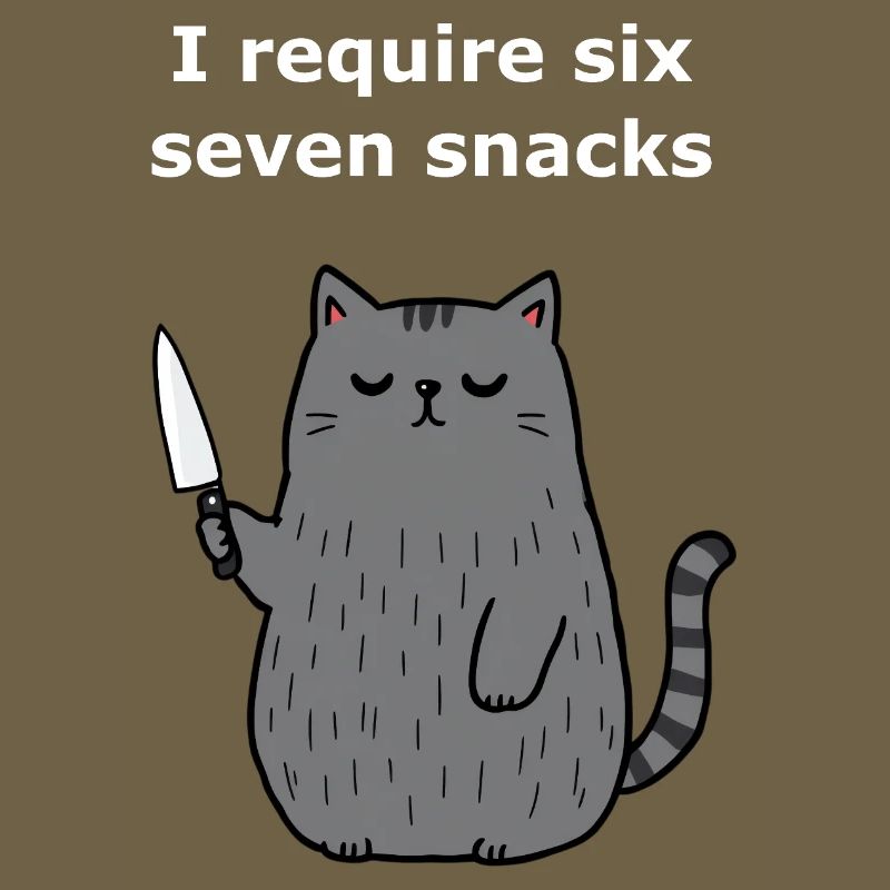 6-7 Mème Internet 6 7 Snack Cat