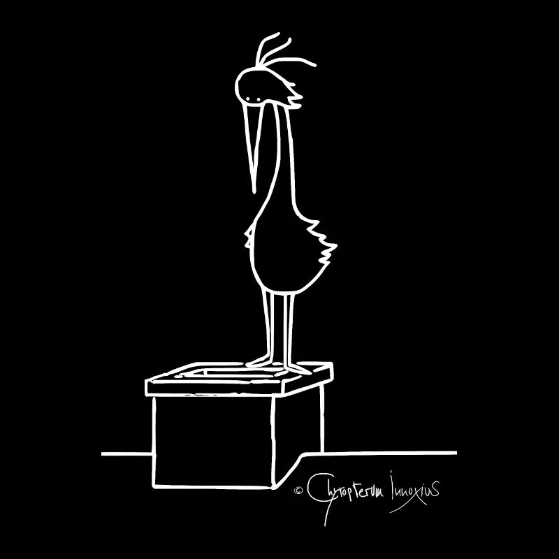 Roofbird - Volucris Culminis