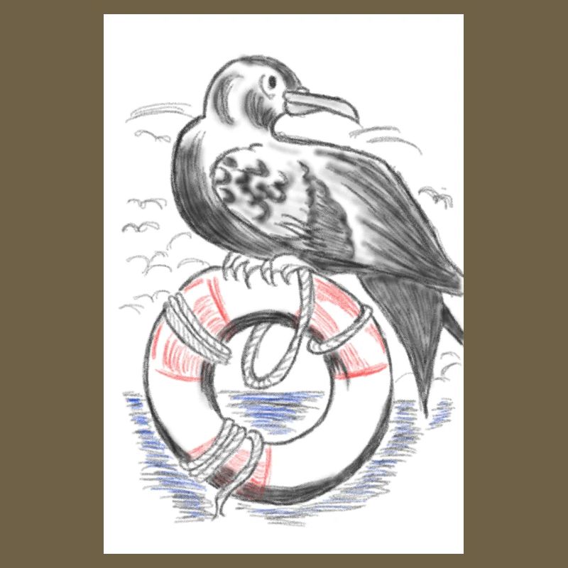 Gull