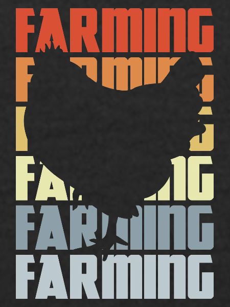 Farm Chicken Farming