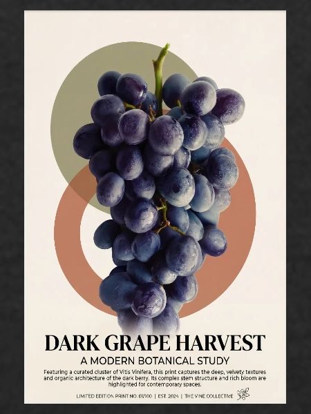 Dark Grape Harvest