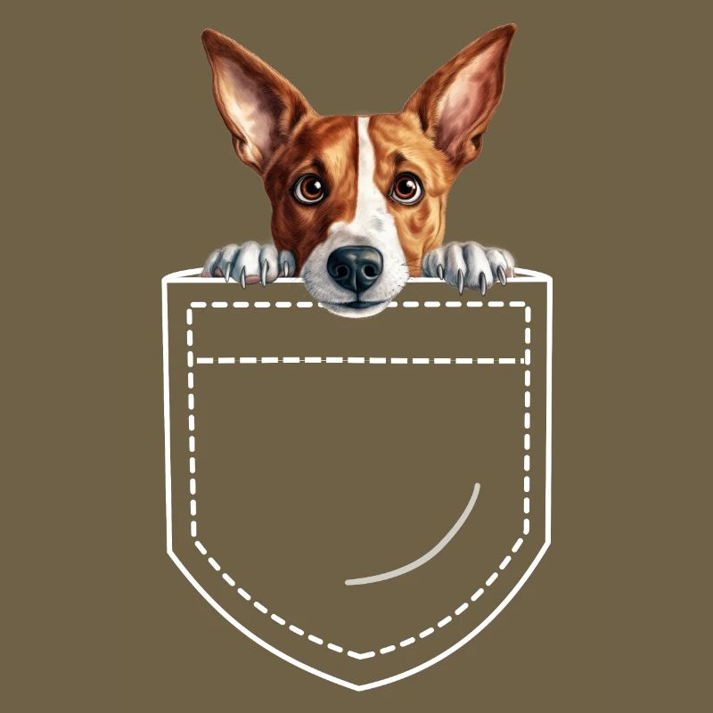 Hund Basenji