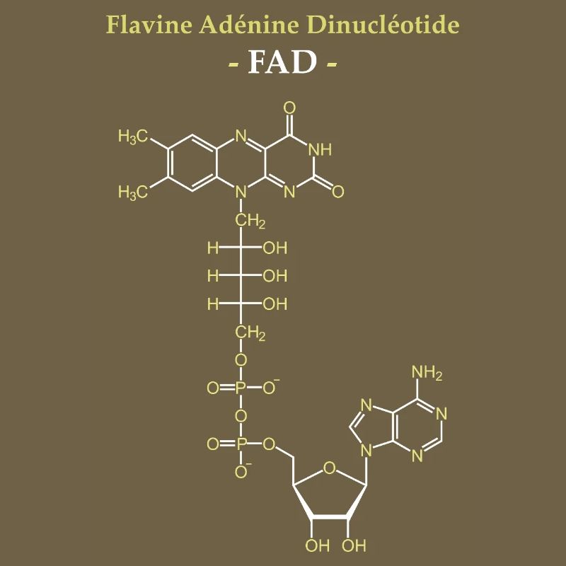 ADF Flavin-Adenin-Cofaktor