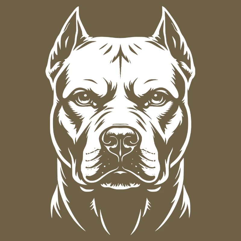 Pitbull Head