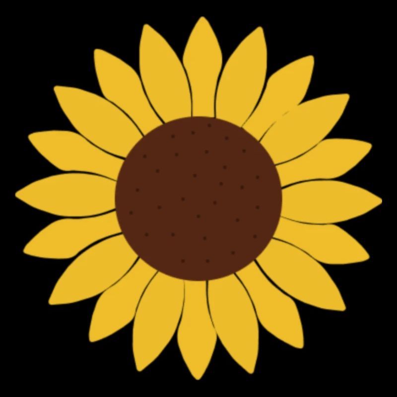 Sonnenblume