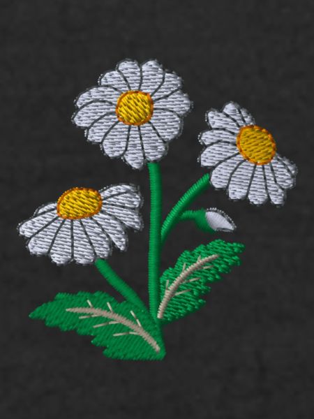 Daisy