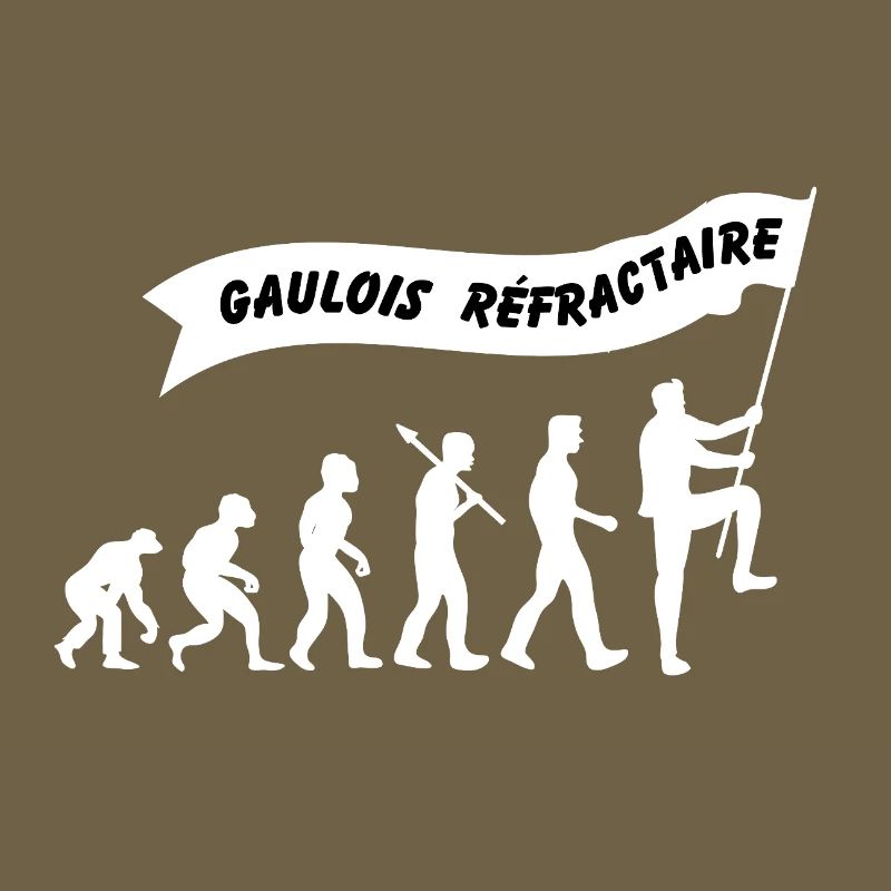Evolution du gaulois réfractaire