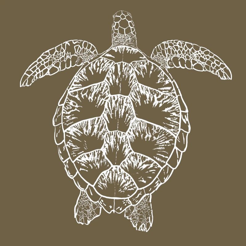 Turtle white2