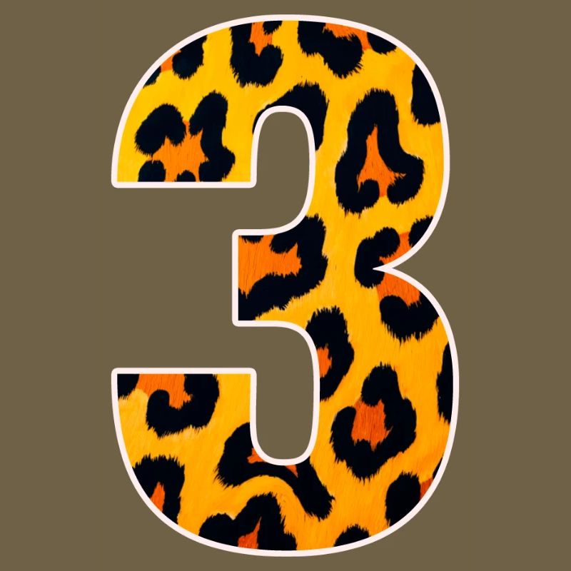 Leopard 3 Number Pattern