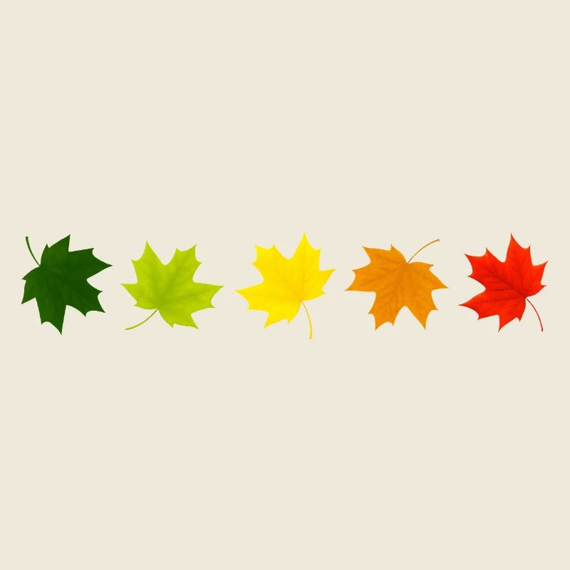 Autumn is here