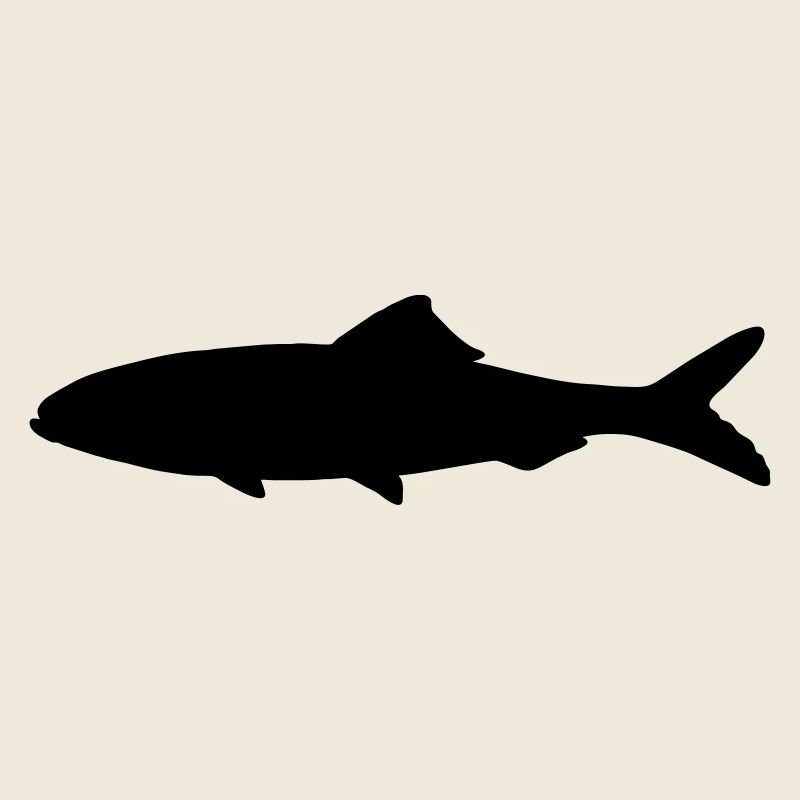 Fish shadow figure logo fisherman, fish stall