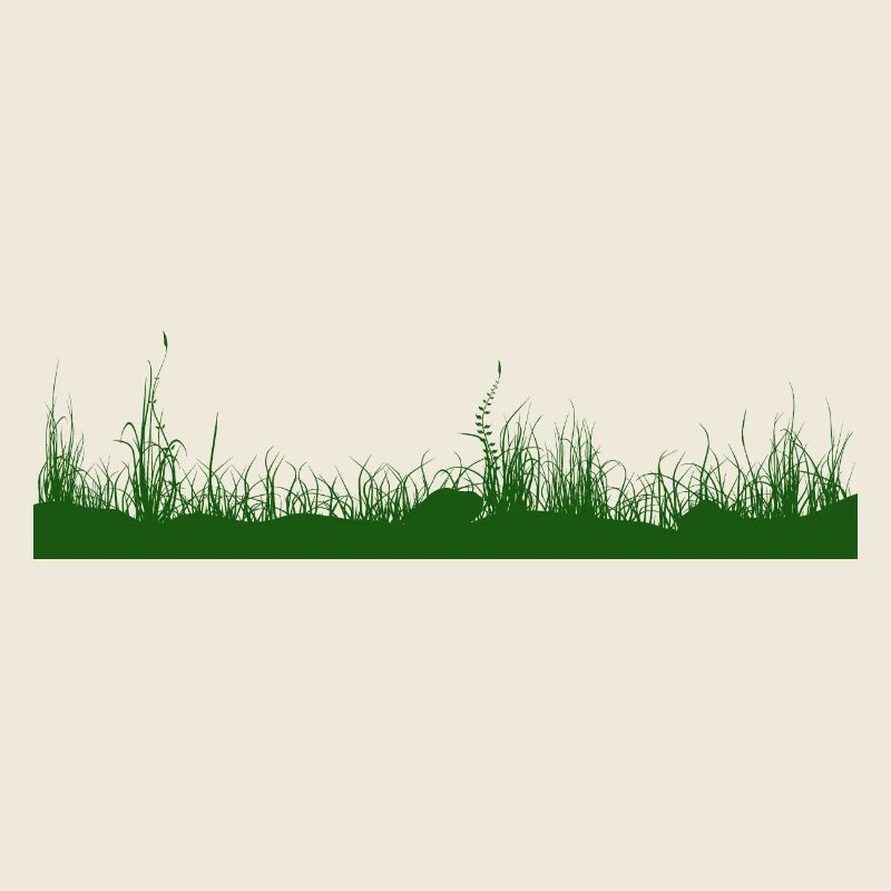 Gras Boden Wiese Graswiese