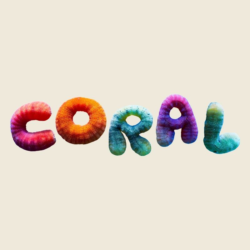 Voll coral bunt