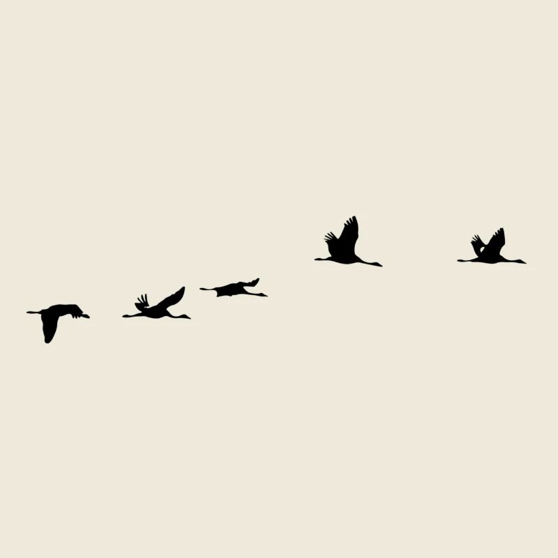Migratory Birds Crane Bird