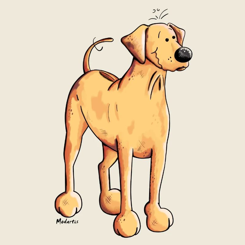Souriant Rhodesian Ridgeback
