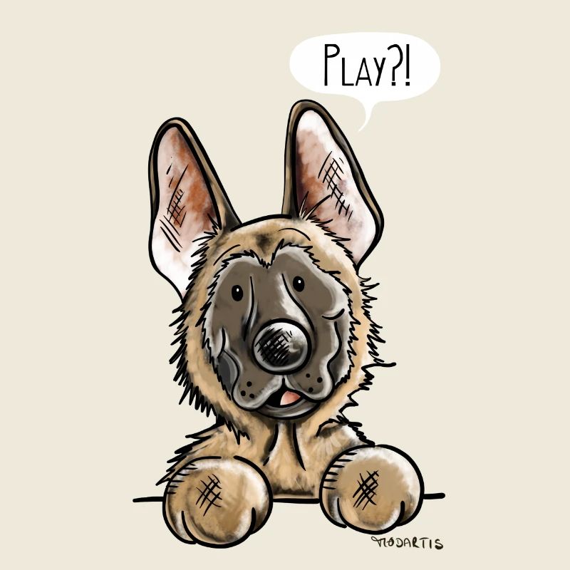 Malinois Play