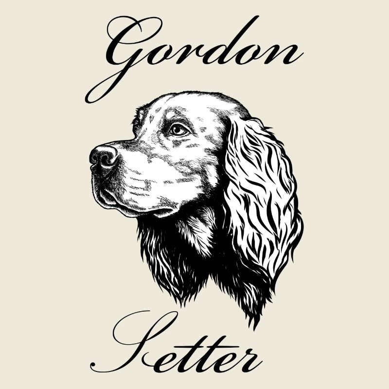 Gordon Setter Portrait