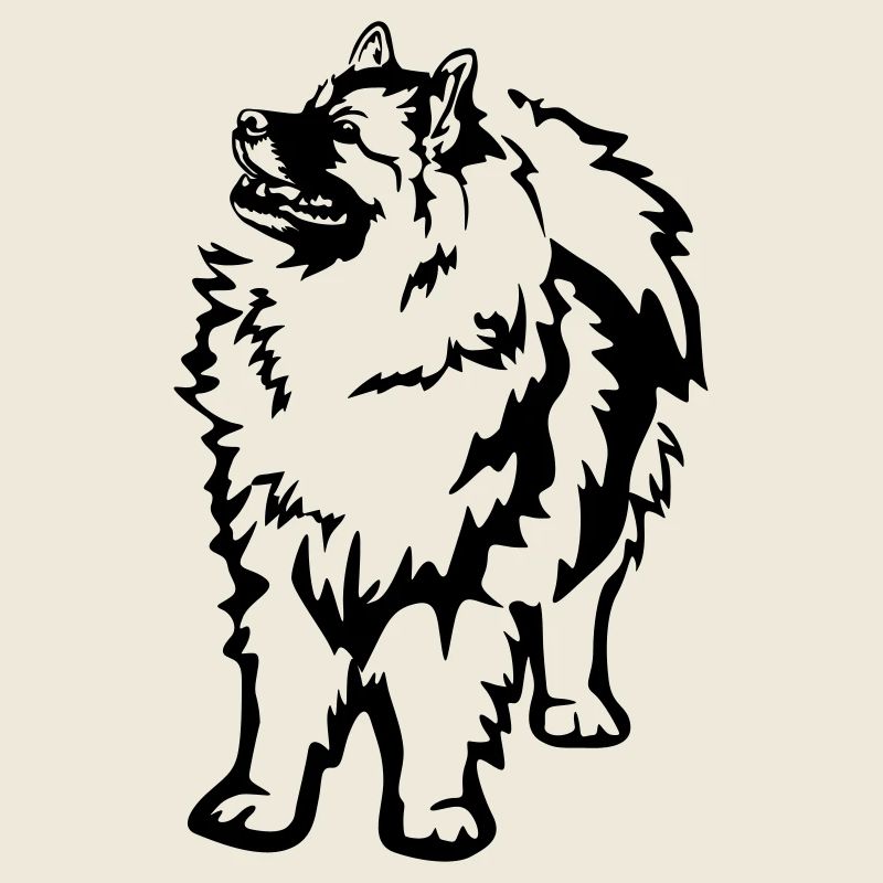 Wolfsspitz