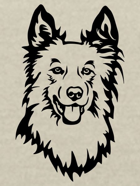 Harzer Fuchs Kopf