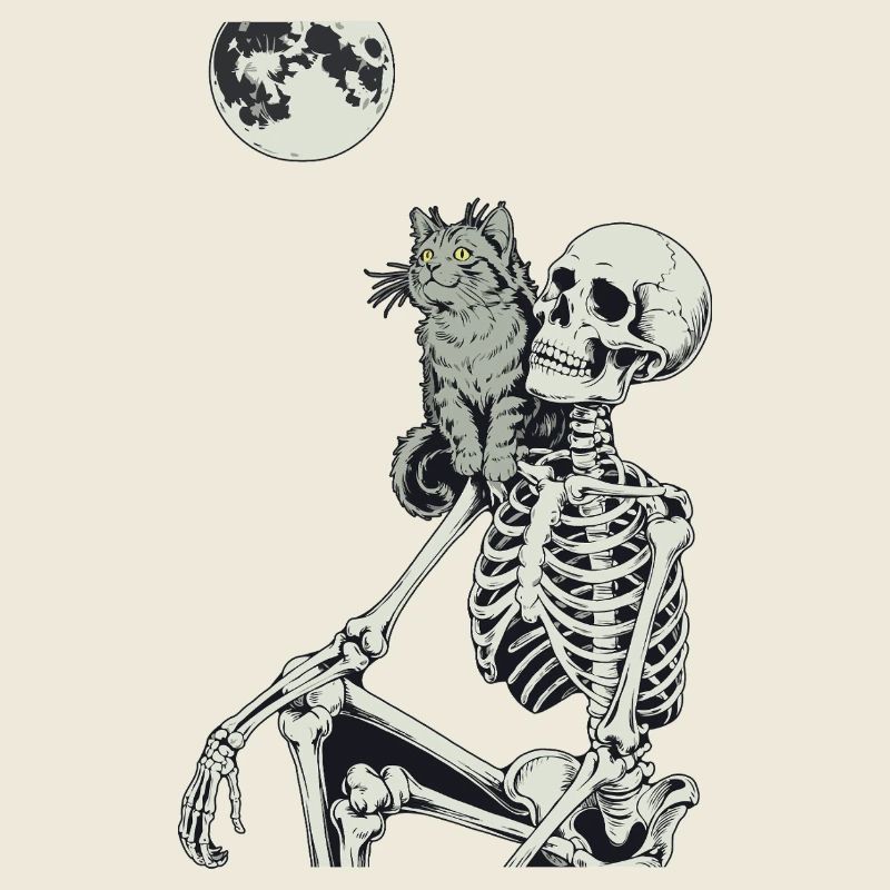 Scène de nuit mystique avec chat et crâne