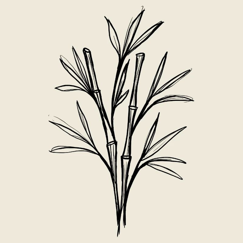 Bambou – design minimaliste au trait