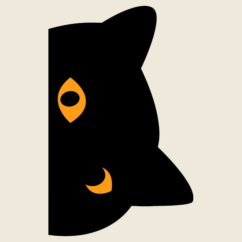 schwarze Katze