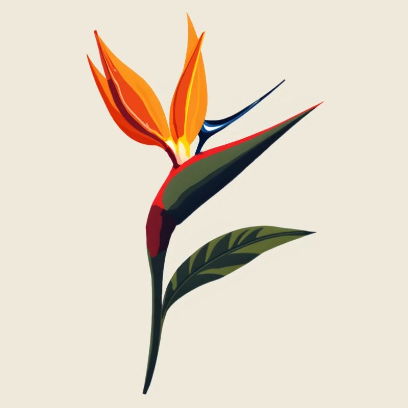 Fleur de l’oiseau de paradis