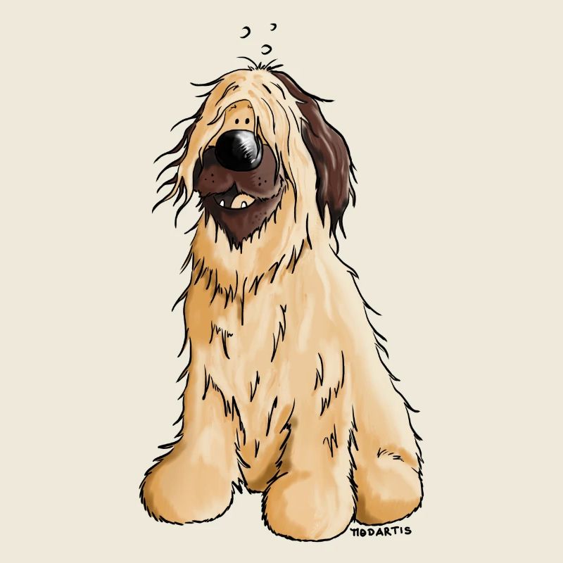 Berger De Bri - Chien De Berger - Briard
