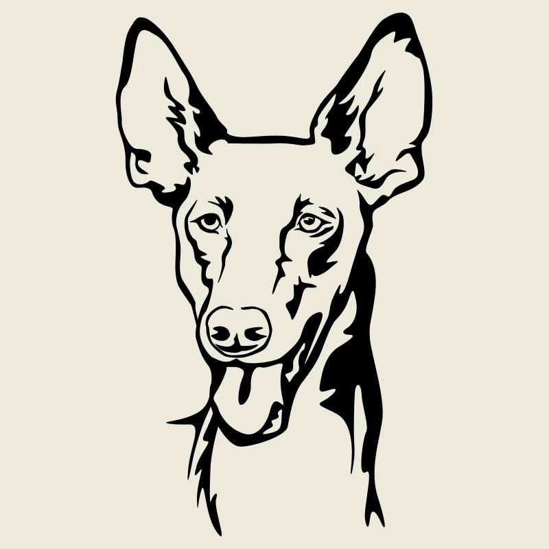 Pharaoh dog (Kelb-tal Fenek) head