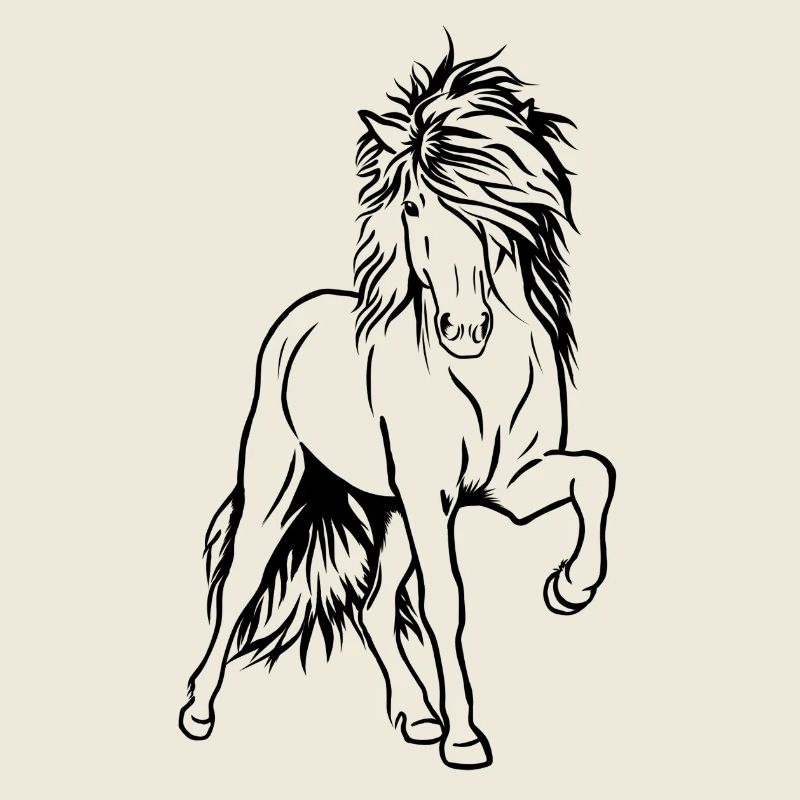Étalon d’Islande