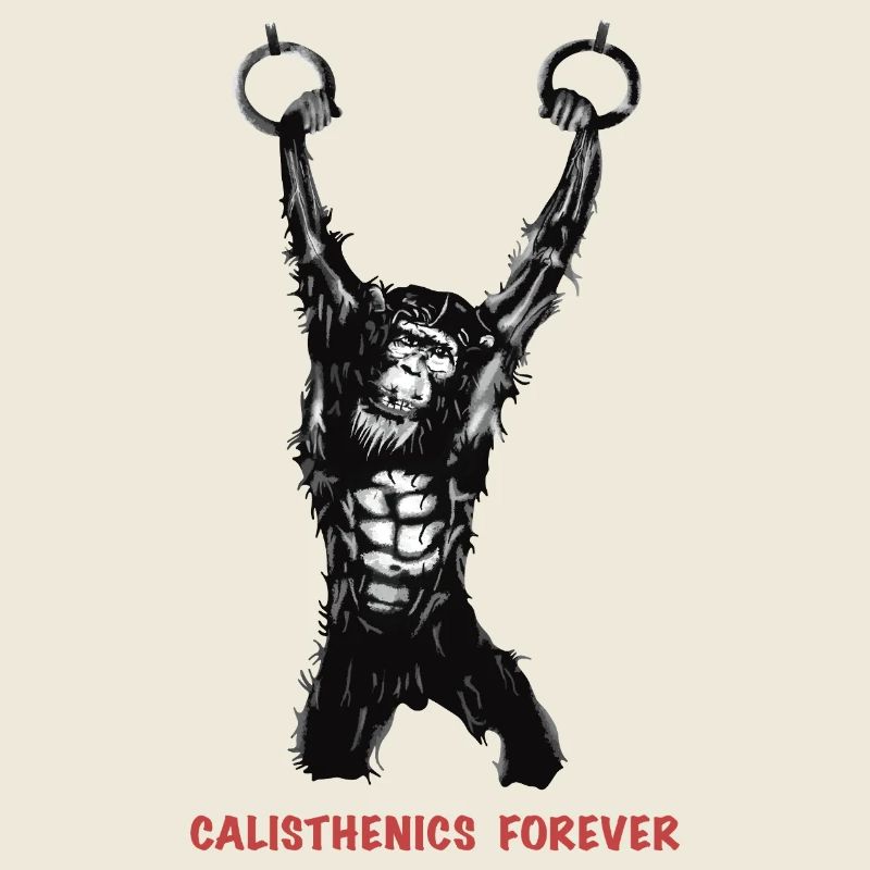 Calisthenics Evolution - Anneaux de gymnastique