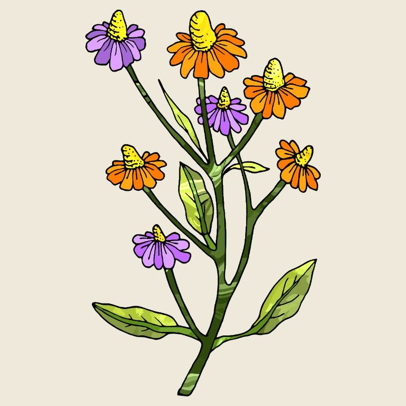 Blumen