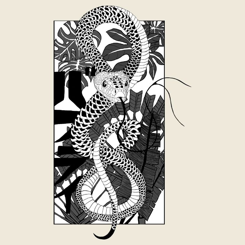 Snake 2